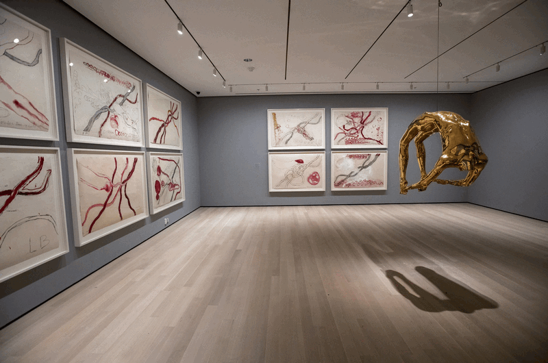 Louise Bourgeois - Imagination Unfolds in All Dimensions